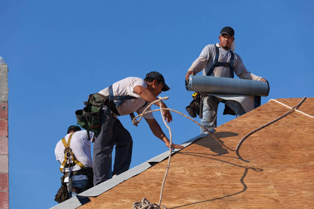 Best Shingle Roofing Installation  in Frederic, WI